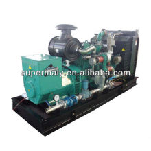 Cummins engine natural gas generator 40-260kw